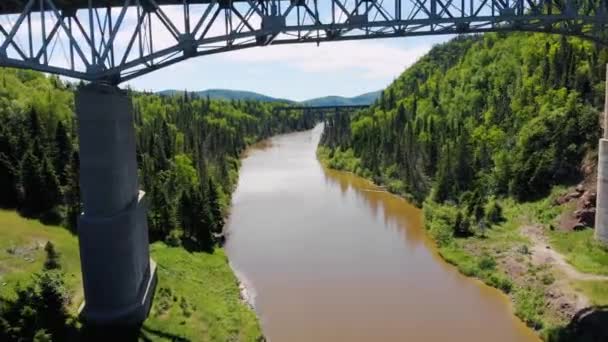 Drone Flies Bridge High Water River Surrounded Trees Mountains — Vídeo de stock