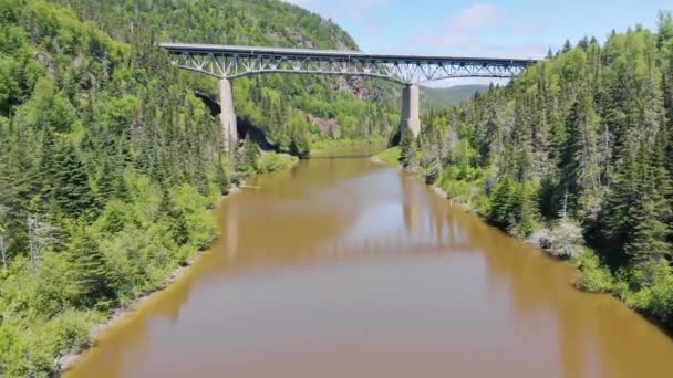 Drone Flies Trees River Slowly Very Tall Bridge Background Bridge — Vídeos de Stock