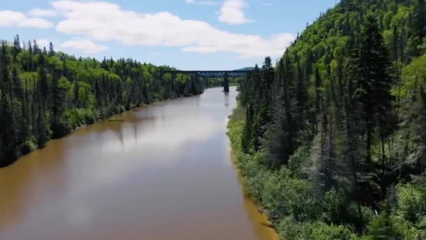 Drone Flies Water River Trees Mountains Both Sides Old Railroad — Stockvideo