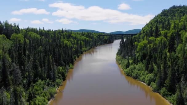 Drone Flies High River Surrounded Trees Mountains Slowly Approaches Bridge — Stockvideo