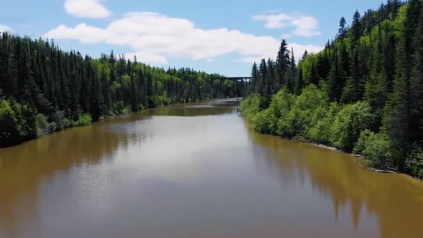 Drone Flies River Surrounded Forest Both Sides Old Railroad Bridge — Stok video