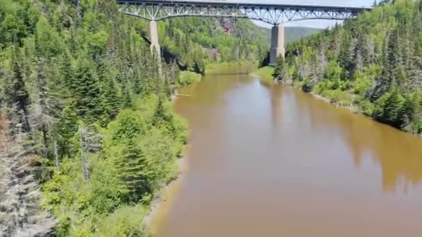 Drone Flies Trees River Very Tall Bridge Background Bridge Surrounded — Vídeo de Stock