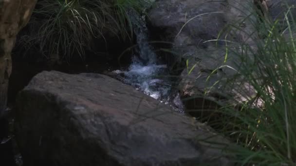 Potok Tekoucí Mezi Skalami Nedotčené Přírodě Penha Garcia Portugalsku Naklonit — Stock video
