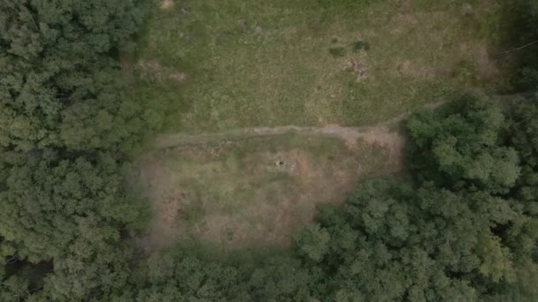 Aerial Drone Top Descending Woman Lying Meadow Covao Ametade Portugal — 图库视频影像