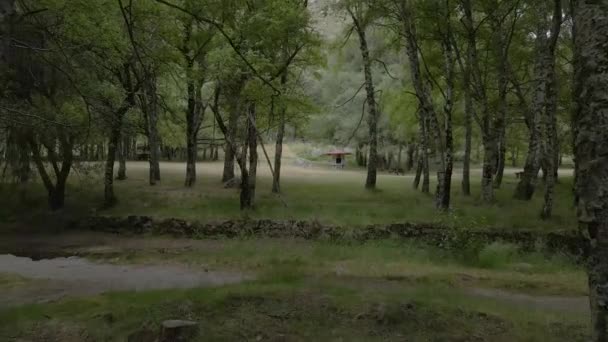 First Person View Walking Picnic Area Green Park Covao Ametade — Stock video