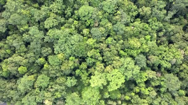 Calm Light Blue Seawater Surrounded Vegetation — Vídeo de stock