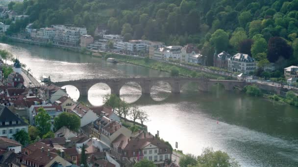 Średniowieczny Most Heidelberg Nad Neckar Alte Brcke Słynny Malowniczy Widok — Wideo stockowe