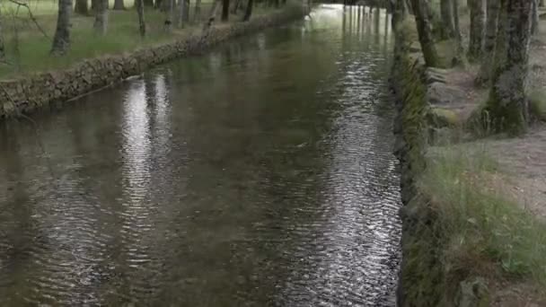 Calm Waters Zezere River Covao Ametade Serra Estrela Portugal Tilt — ストック動画