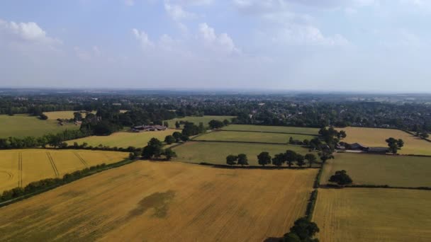 Beautiful English Green Pleasant Countryside Trees Fields Sunny Day Ariel — Αρχείο Βίντεο