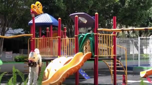 Deep Cleaning Public Playground Coronavirus Covid Disease Virus Prevention Wearing — Stock Video