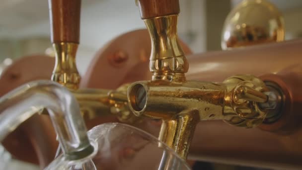 Tilt Barman Pulling Pint Foamy Beer Vintage Brass Golden Beer — Vídeos de Stock