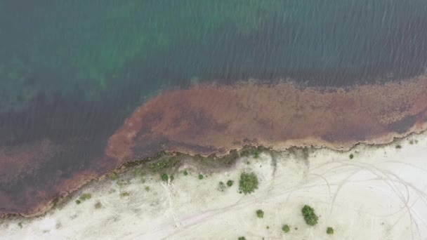 Beach White Sand Captured Drone — Vídeo de stock