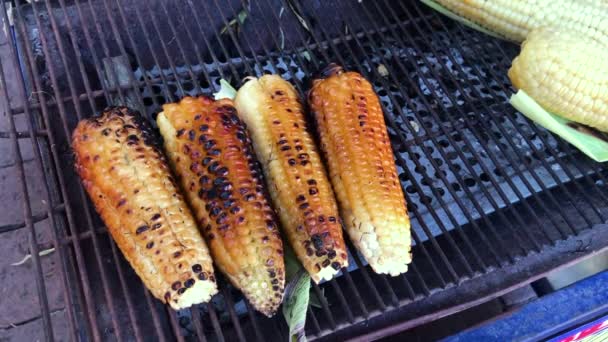 Corn Grilling Hot Bbq Grill Popular Healthy Mexican Street Food — Stockvideo