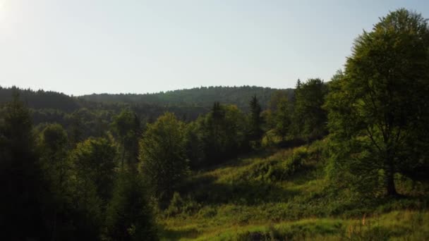 Panoramic View Dense Forest Warm Sunlight Piatra Secuiului Rimetea Romania — Stok video