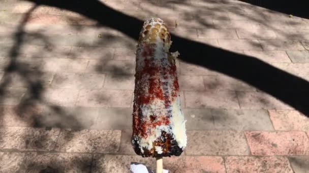 Elote Traditional Mexican Snack Street Food Grilled Corn Cheese Spice — Vídeos de Stock