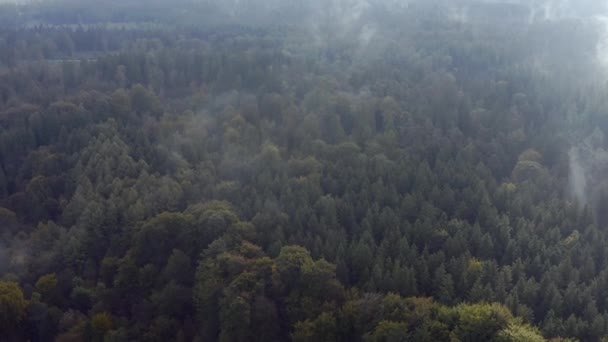 Drone Flight Backwards Clouds Fog Wide Green Forest Some Autumn — ストック動画