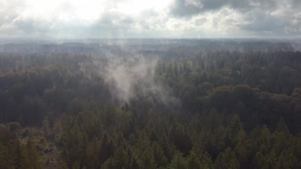 Nevoeiro Está Levantando Enquanto Sol Está Aquecendo Paisagem Floresta Depois — Vídeo de Stock