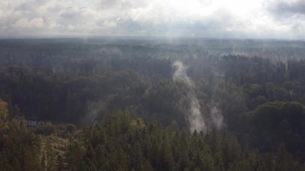 Established Aerial Shot Rising Fog Out Autumn Forest Rainy Day — Stok video