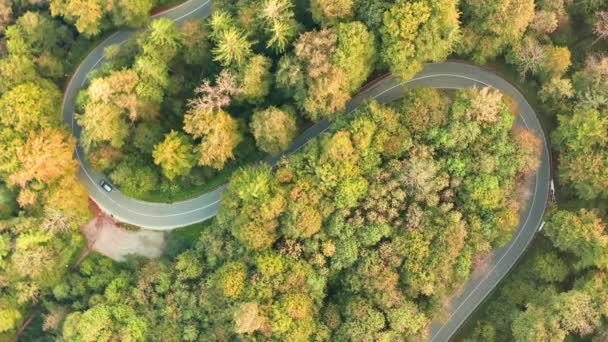 Timelapse Driving Cars Autumn Forest Double Curve Traveling Fall Season — Stockvideo