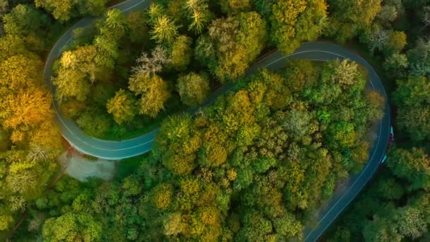 Luchtzoom Uit Een Dubbele Bocht Prachtige Herfstsaison Recht Van Boven — Stockvideo