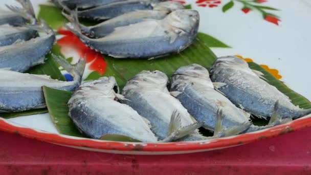 Fresh Mackerel Thai Sea Displaying Tray Local Fish Market Thailand — Stockvideo