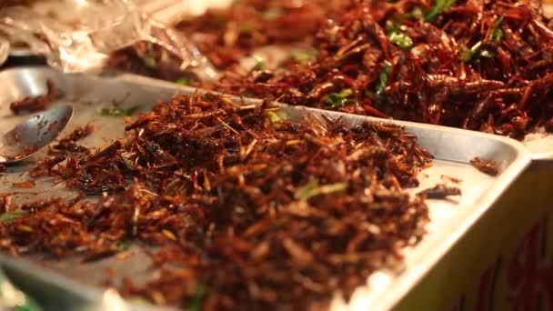 Closed Footage Fried Insects Selling Local Market — Stockvideo