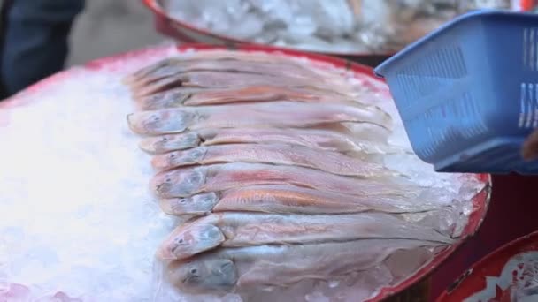 Yerel Balık Pazarı Ndaki Hazırlanmış Deniz Balıklarının Kapalı Görüntüsü — Stok video