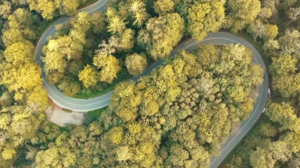 Paisaje Aéreo Con Luz Dorada Sobre Una Curva Con Aves — Vídeo de stock