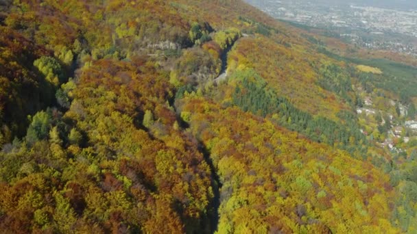 Létání Nad Větrnou Horskou Silnicí Barevném Podzimním Lese Vzdušný — Stock video