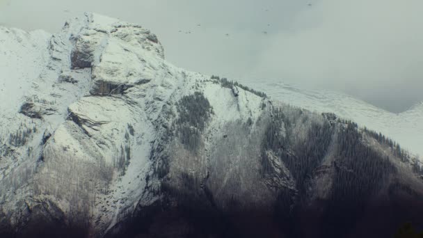 Mountain Peak Flock Birds Light Snow — Stock video