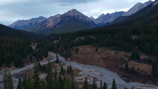 Creek Mountain Range Pine Tree Forest Approaching — Stock video