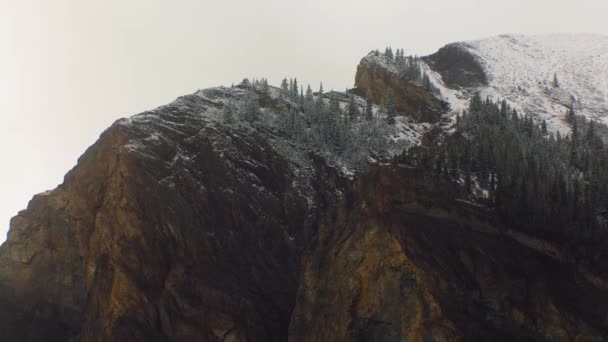 Mountain Rock Clif Light Snow Pine Trees Close — Wideo stockowe