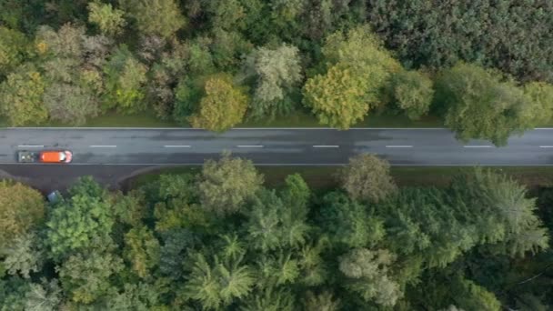 Top View Driving Transporter Road Framed Autumn Colored Natural Trees — Vídeo de Stock