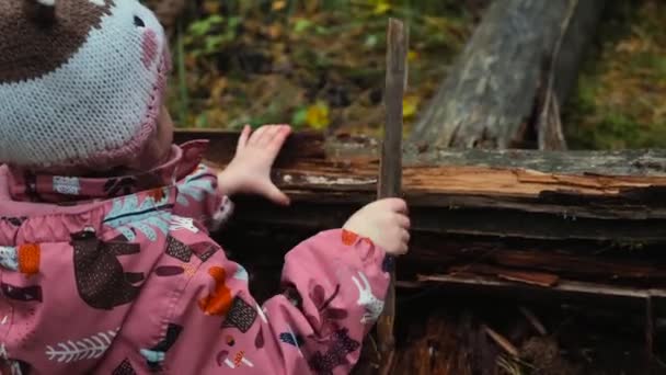 Young Child Plays Woods Trees — Stockvideo
