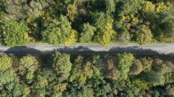Aerial Slow Zoom Out Shot Autumnal Landscape Forest Driving Cars — 图库视频影像