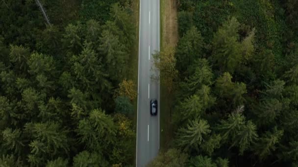 Wide Forest Landscape Leading Street Horizon Car Driving Fast Country — 图库视频影像