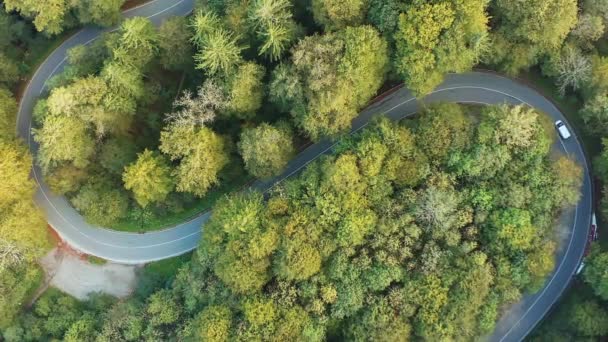 Reistijd Het Najaar Drone Beelden Als Top Schot Een Dubbele — Stockvideo