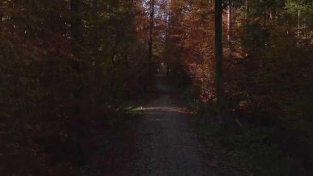 Φθινοπωρινό Δάσος Τηλεκατευθυνόμενο Από Πολύχρωμα Δέντρα Για Αποκαλύψει Τον Μπλε — Αρχείο Βίντεο