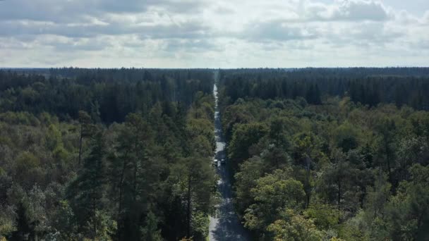 Riding Long Straight Road Framed Moody Looking Trees Fall Season — Stok video