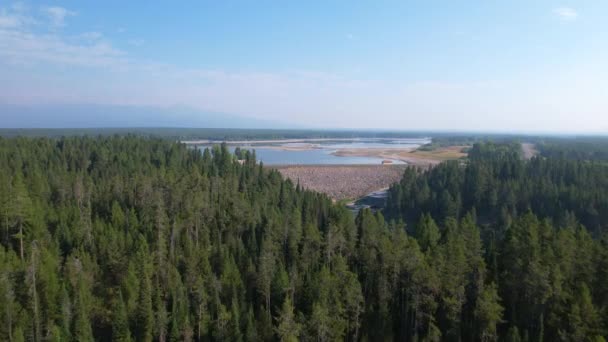 Aerial View Island Park Dam Idaho Floating Pine Trees — Stock videók