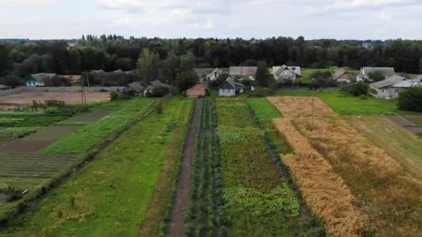 Aerial View Garden Diverse Crops Summer Day Ascending Revealing Neighborhood — Video Stock