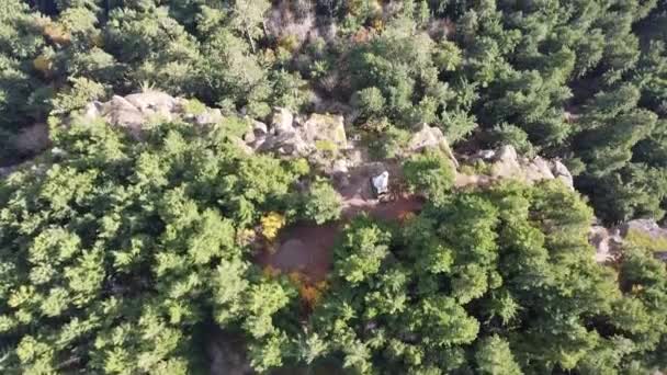 温哥华岛威斯特雷斯特山岩石悬崖和树木覆盖的森林 — 图库视频影像