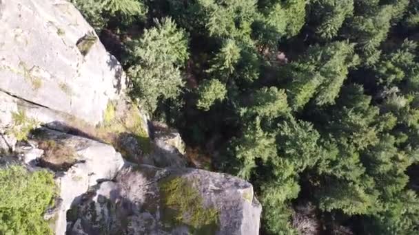 Mount Prevost Isla Vancouver Acantilados Rocosos Bosque Cubierto Árboles — Vídeos de Stock