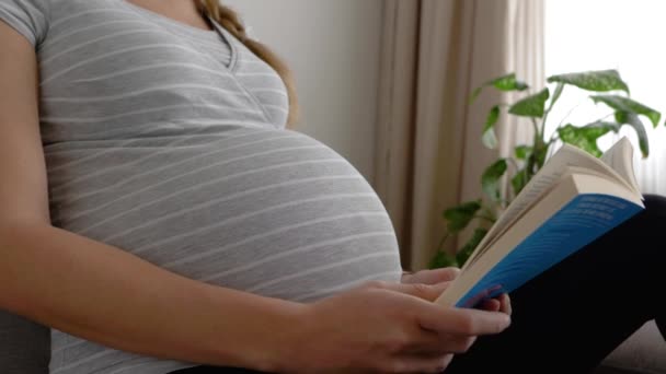 Expecting Woman Home Reads Book Pregnancy Turns Page Closeup — Stock video