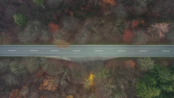Orange Transporter Drives Straight Road Steady Top Shot — Vídeo de stock