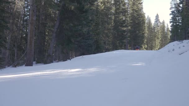 Man Riding Sled Hill Winter While Camping Groomed Cross Country — Stockvideo