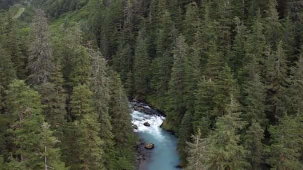 Beautiful White Water Rocky River Forest Alaska Aerial — ストック動画