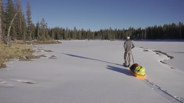 Man Pulling His Sled Snow While Adventuring Woods — Vídeos de Stock