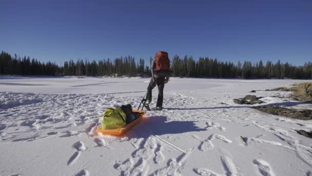 Man Pulling Sled Snow Forest Cross Country Winter Expedition — Stok video