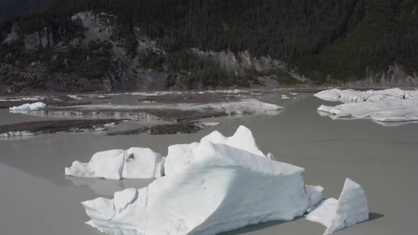 Icebergs Floating Mountains Alaska Low Aerial — Stockvideo